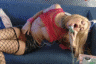 thm_MF1363_109.gif